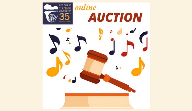 Key image for: Help Make our Online Auction a Success