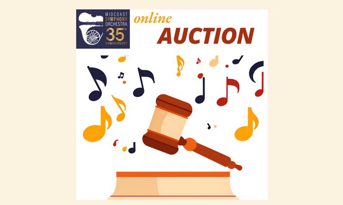 Help Make our Online Auction a Success